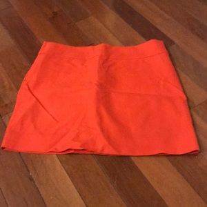 J.Crew Skirt